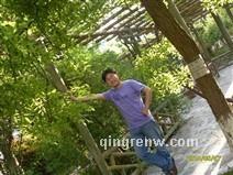 寂寞烛光的头像