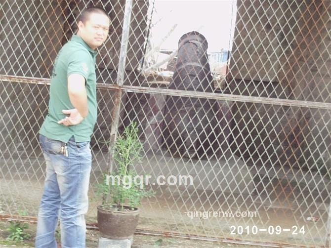 只为你等待的头像