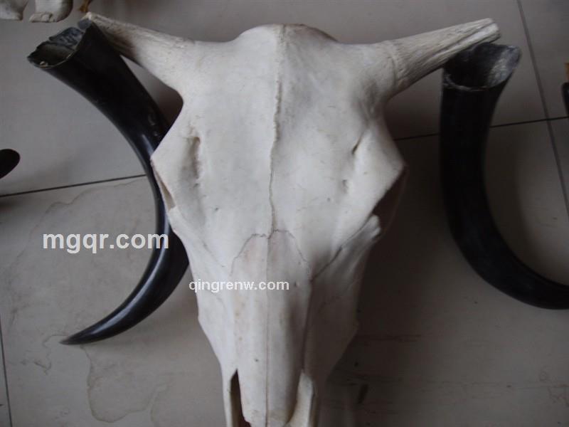 花心是什么心的头像