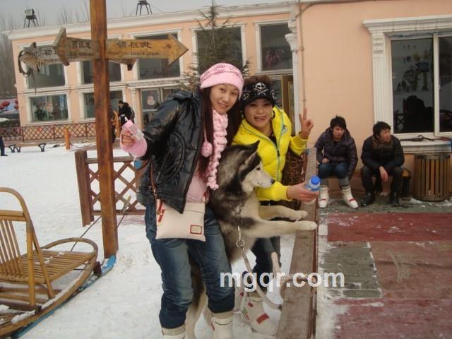 名牌夫人的头像