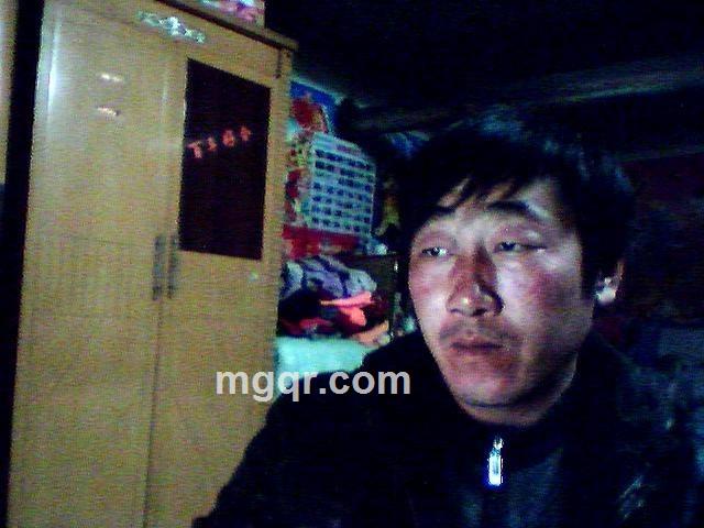 爱情寻找者的头像