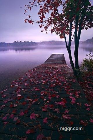 伈隨☆感覺的头像