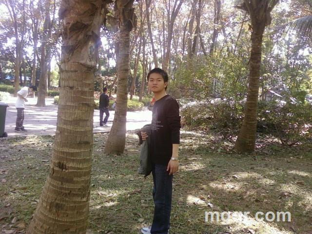 xichengfeng的头像