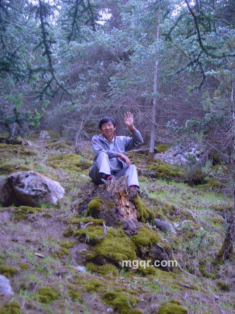 流行恋月1的头像