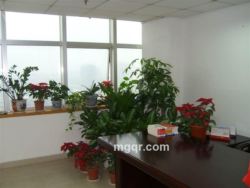 AAA单身男的头像