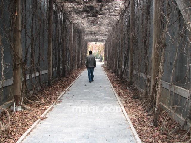 流浪的小哥的头像