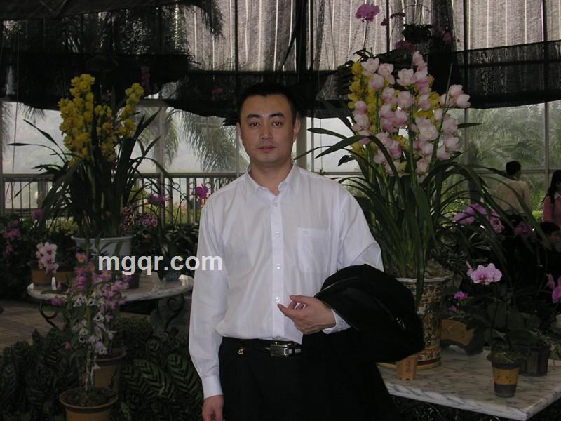 北方的 狼的头像