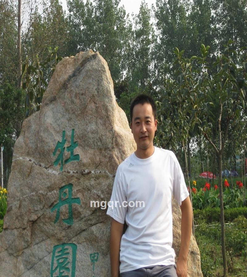 森林深处一只鸟的头像