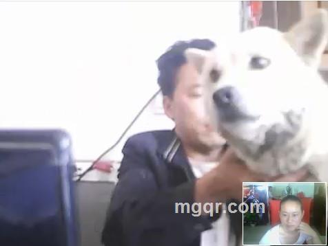 如果有下辈子我爱你的头像