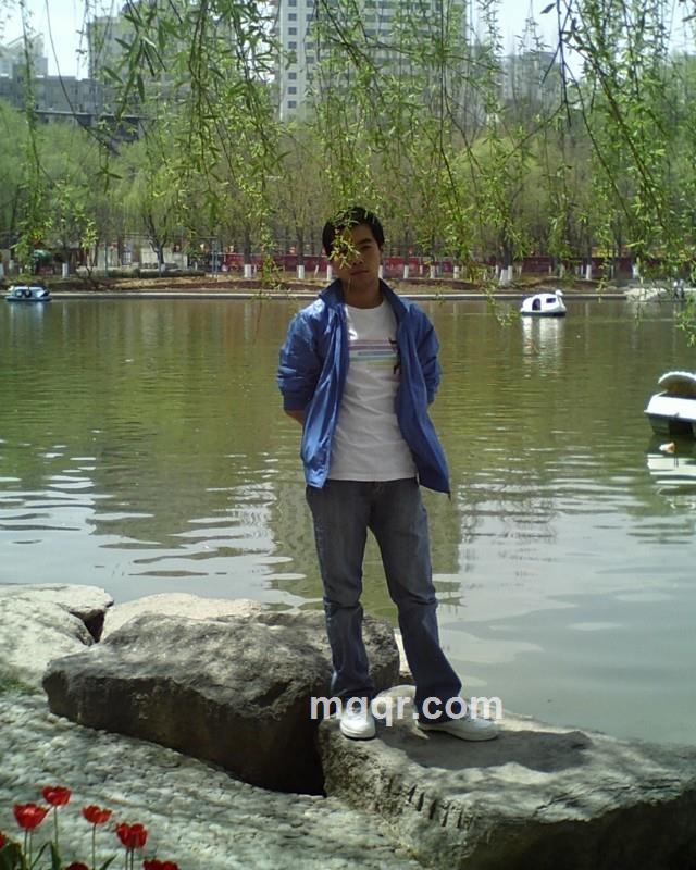 寂寞的情歌的头像