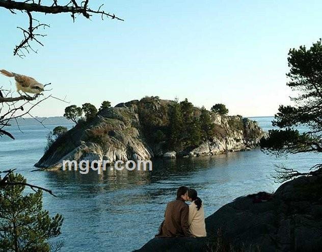 大大的坏蛋的头像