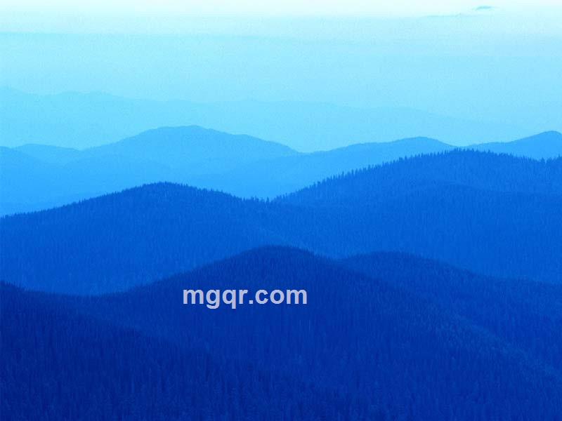 从此认命的头像