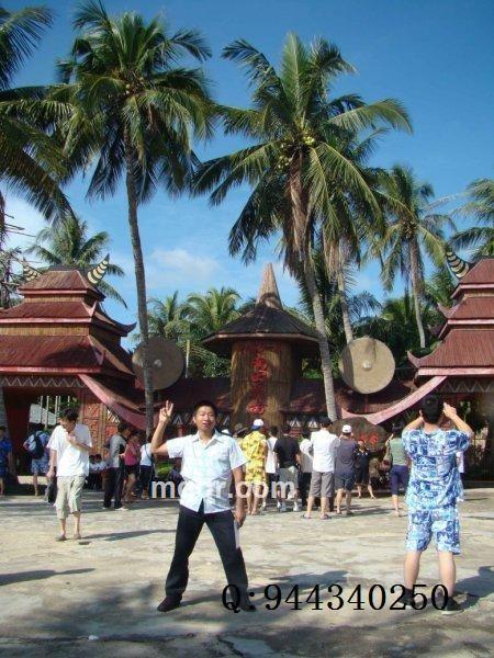 哥本寂寞的头像