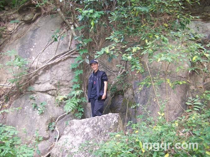 网络孤魂的头像