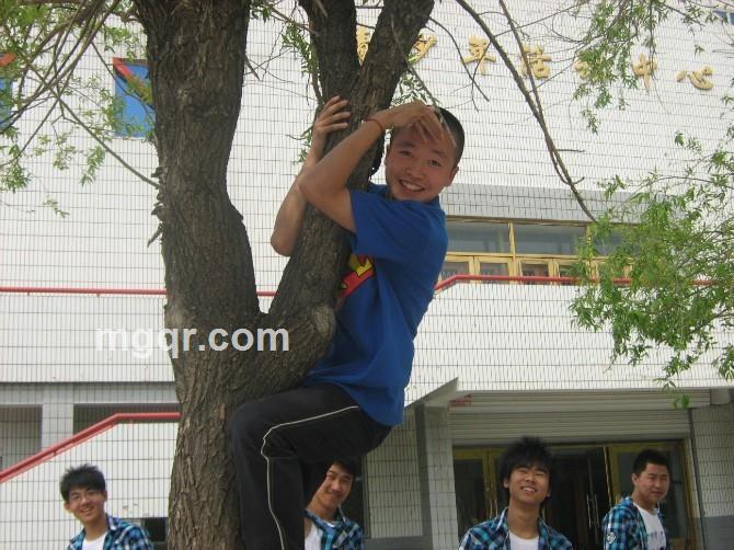 小三阿宝的头像