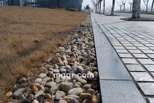 读心阅身的头像