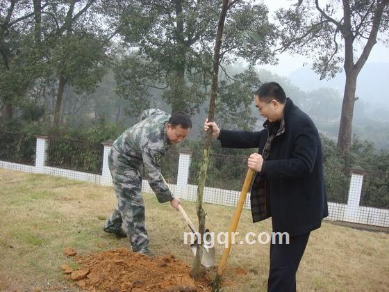 红茶的邂逅的头像