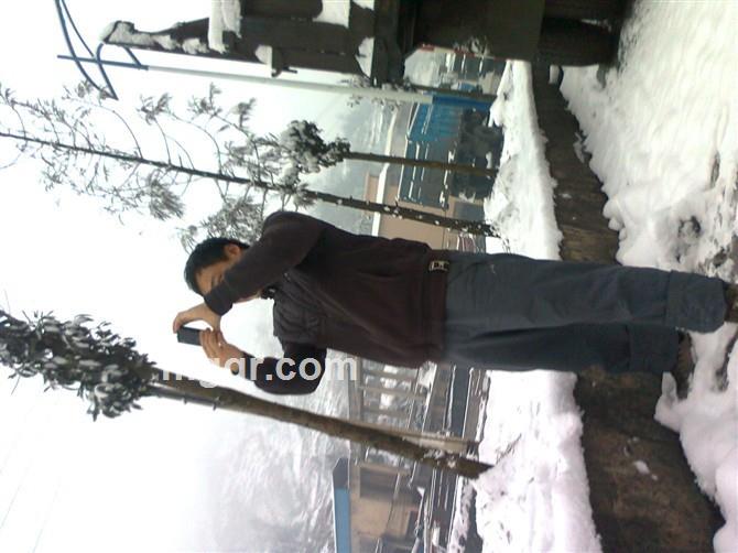 夜夜春宵的头像