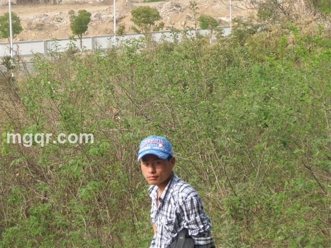 Stone Story的头像