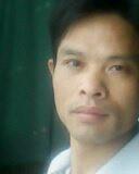 风动全城的头像