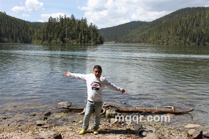 原始野性的头像