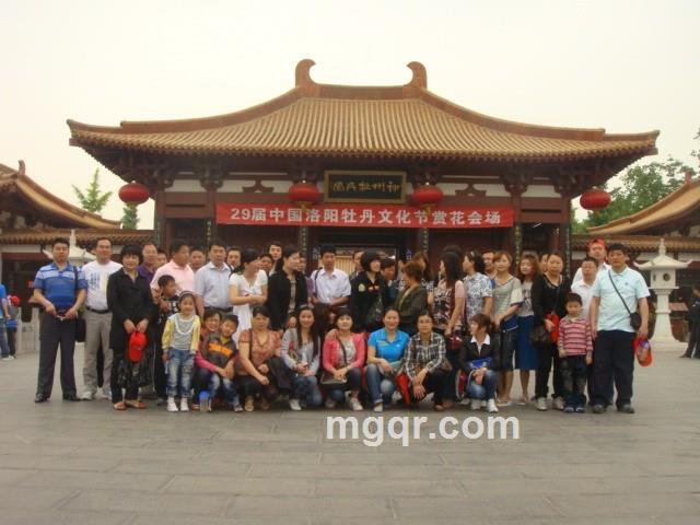 飞舞斜阳的头像