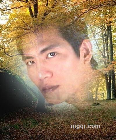 苚記忆綁架鉨的头像