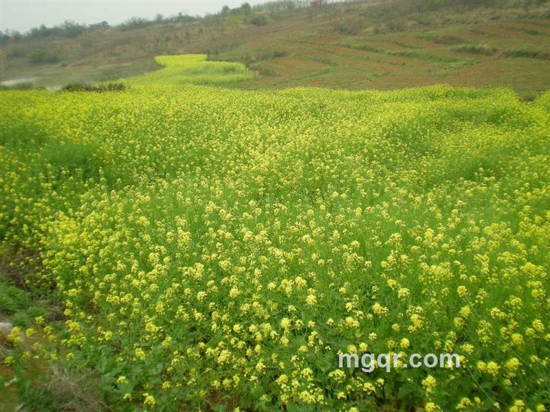 往事不堪一击的头像