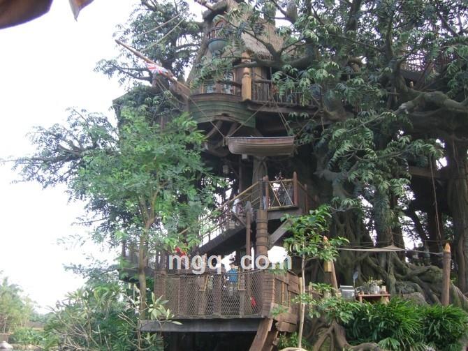 小胖可爱的头像