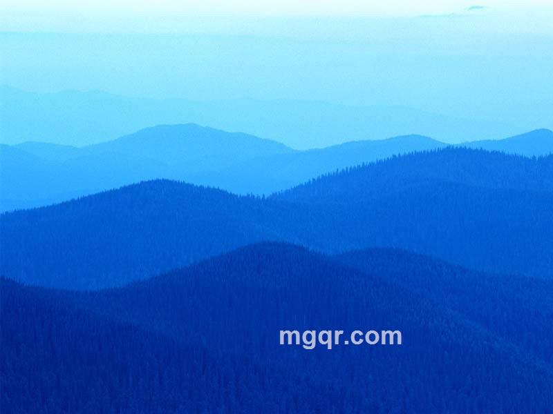 黯然销魂者的头像