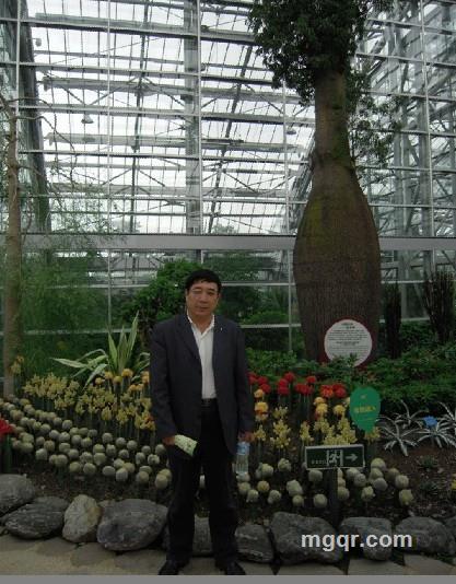 淡淡相阅的头像