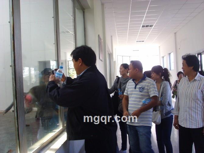 小马表哥的头像