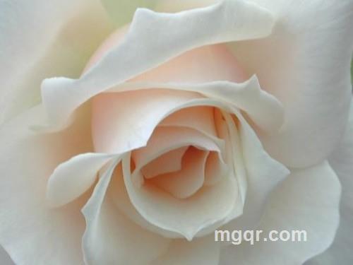 清风共语的头像