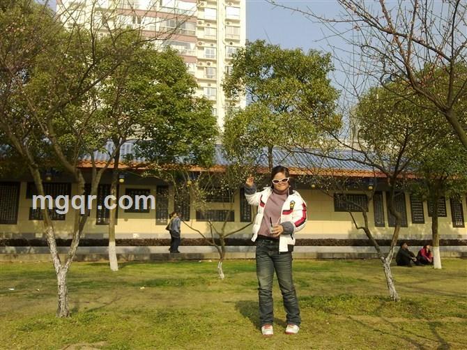 美丽的蝴蝶的头像