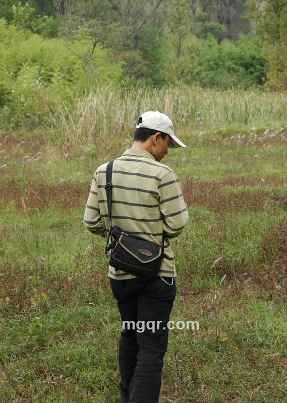 零乱的脚步的头像