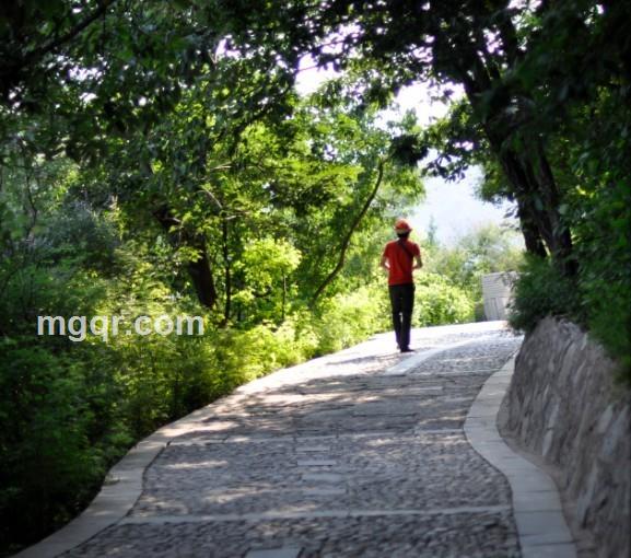 雁过南天的头像