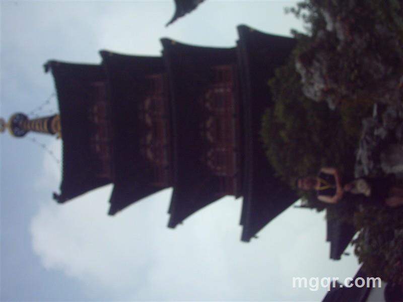 共度良宵的头像