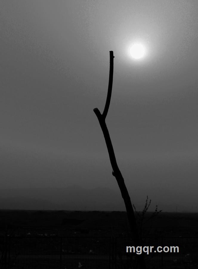 长街无人的头像