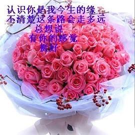 新变色龙的头像