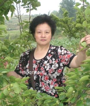 魅力女士的头像