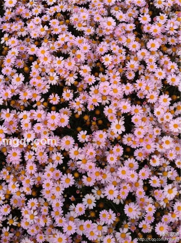 红尘万丈的头像