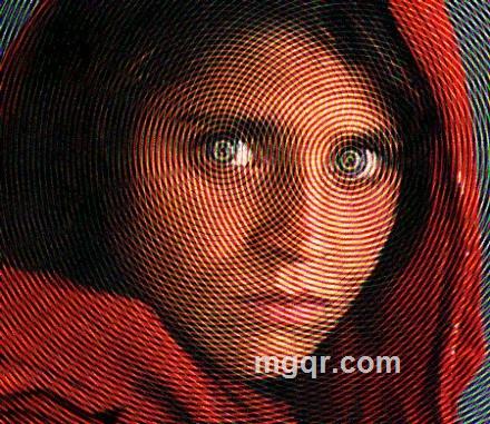 上善若水任方圆的头像