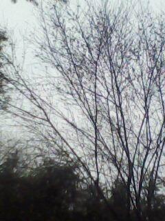 haixiao12345的头像