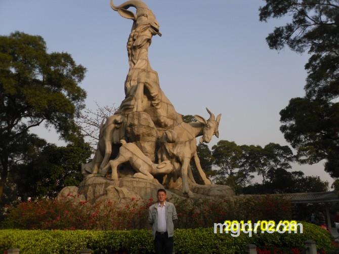 乌鸦和巧克力的头像