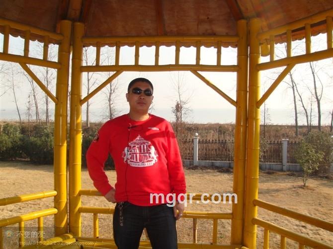 《自由飞翔》的头像