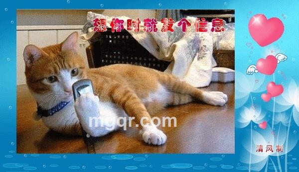 你知道 我是谁吗的头像