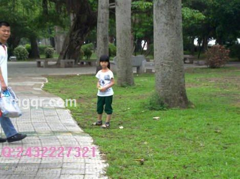 飞雪连天白鹿的头像