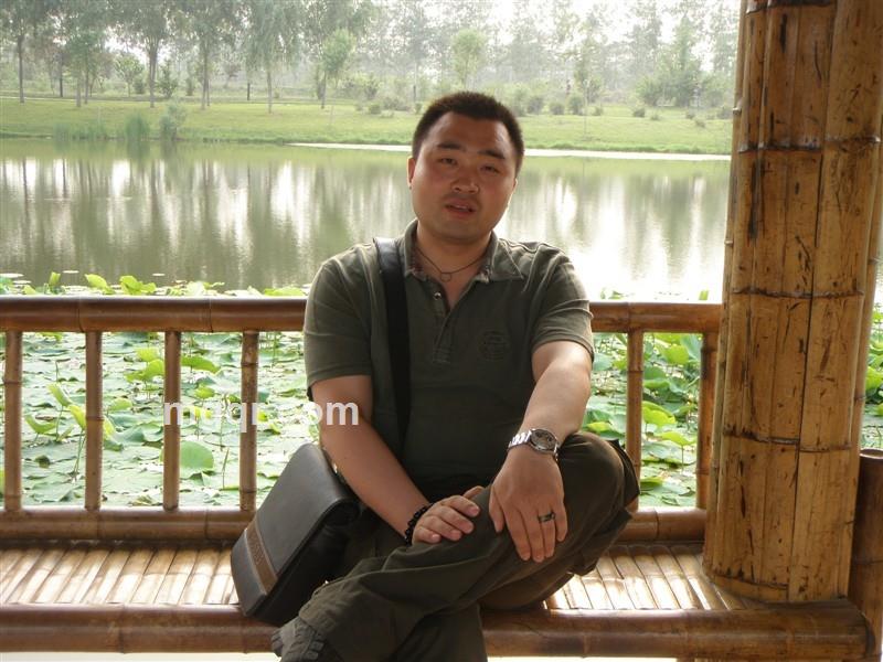 大森林大灰狼的头像