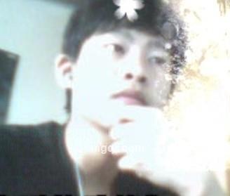 乌龙不闯情关的头像