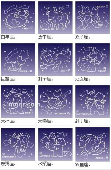 飘渺的甲壳虫的头像